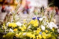 Closeup shot of beautiful colorful decorative flowers Royalty Free Stock Photo