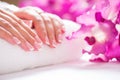 Closeup shot of beautiful female dands with nails of france mani Royalty Free Stock Photo