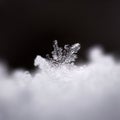 Closeup shot of a beautiful snowflake