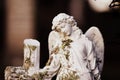 Closeup shot of a beautiful white angel statue in the park of Purewa with a blurred background Royalty Free Stock Photo