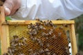 Closeup shot of a beekeeper with bees