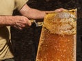 Closeup shot of a beekeeper removing wax from fresh honeycombs