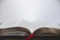 Closeup shot of the bible with golden pages and a blurred background