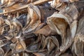 Closeup shot of a big stack of dried stockfish