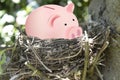 Closeup shot of a bird nest with a pink piggy bank on blurred nature background