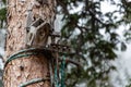 Closeup shot of a birdhous on a tree