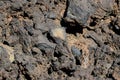 Closeup shot of a Black volcanic stones soil texture Royalty Free Stock Photo