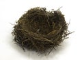 Closeup shot of a blackbird nest isolated on a white background