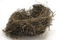 Closeup shot of a blackbird nest isolated on a white background