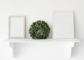 Closeup shot of blank photo frames and a plant on the shelf Royalty Free Stock Photo