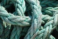 Closeup shot of a blue boat rope under sunshine - perfect for background Royalty Free Stock Photo