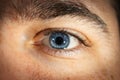 Closeup shot of blue eyes man Royalty Free Stock Photo