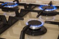 Closeup shot of blue fire from domestic kitchen stove. Gas cooke Royalty Free Stock Photo