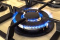 Closeup shot of blue fire from domestic kitchen stove. Gas cooke Royalty Free Stock Photo