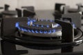 Closeup shot of blue fire from domestic kitchen stove top. Gas cooker with burning flames. Royalty Free Stock Photo