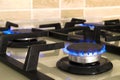 Closeup shot of blue fire from domestic kitchen stove top. Gas c Royalty Free Stock Photo