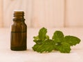 Closeup shot of a bottle of mint essential oil and mint leaves on wooden background