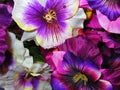 Closeup shot of a bouquet of artificial flowers Royalty Free Stock Photo