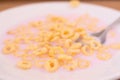 Closeup shot of a bowl full of regular cereal