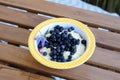 Closeup shot of a bowl of semolina topped with blueberries on a wooden table