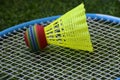 Closeup shot of a bright yellow shuttlecock on a badminton racket Royalty Free Stock Photo