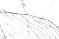 A closeup shot of a broken mirror. Royalty Free Stock Photo