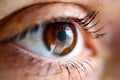 Closeup shot of a brown human eye. Royalty Free Stock Photo