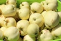 Closeup shot of a bunch of apples placed in a plastic container Royalty Free Stock Photo