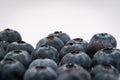 Closeup shot of a bunch of blueberries isolated on an empty white background