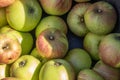 Closeup shot of a bunch of freshly picked apples