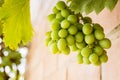 Closeup shot of a bunch of green grapes on a blurred background Royalty Free Stock Photo