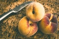 Closeup shot of a bunch of peaches and a steel knife next to them Royalty Free Stock Photo