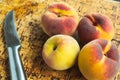 Closeup shot of a bunch of peaches and a steel knife next to them Royalty Free Stock Photo