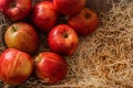 Closeup shot of a bunch of tasty looking red apples on a hay surface