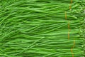 Closeup shot of bunches of yardlong beans