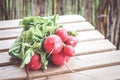Closeup shot of a bundle of fresh radish on a blurred background
