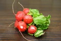 Closeup shot of a bundle of fresh red radish on a wooden surface
