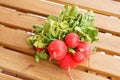 Closeup shot of a bundle of fresh red radish on a wooden surface