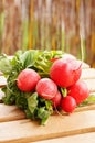 Closeup shot of a bundle of fresh red radish on a wooden surface