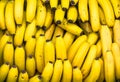 Closeup shot of a bundle of ripe banan