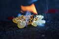 Closeup shot of burning incense resins Royalty Free Stock Photo