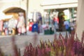 Closeup shot of a bush of beutiful purple lavenders on a blurred background