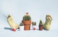 Closeup shot of cactuses in flowerpots, feet figure, and decorative flowers on a blue background