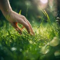 A close-up of a hand softly grazing lush grass, highlighted by the warm glow of sunlight. Generative Ai Royalty Free Stock Photo