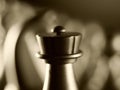 Closeup shot of the chess black rook figure on a blurred background Royalty Free Stock Photo