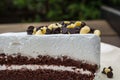 Closeup shot of chocolate chips on chocolate cake.