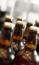 The beer is on its way. Closeup shot of a collection of bottles of beer. Royalty Free Stock Photo