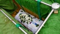 Closeup shot of a colorful casket in a hearse or chapel before funeral or burial at cemetery Royalty Free Stock Photo