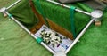 Closeup shot of a colorful casket in a hearse or chapel before funeral or burial at cemetery Royalty Free Stock Photo