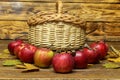 Closeup shot of a composition of ripe red apples on a blurred background